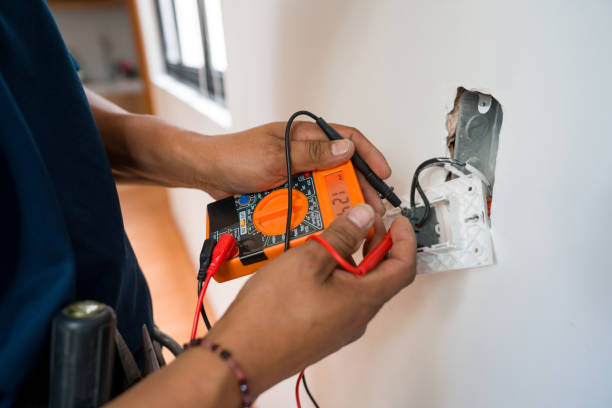 Best Electrical Repair Services  in Indian River, MI