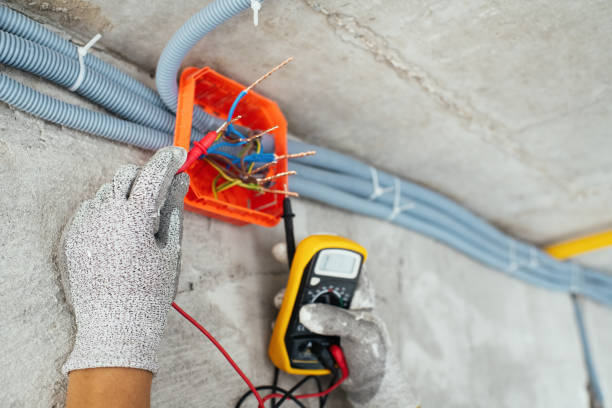 Best Electrical Upgrades for Homes  in Indian River, MI